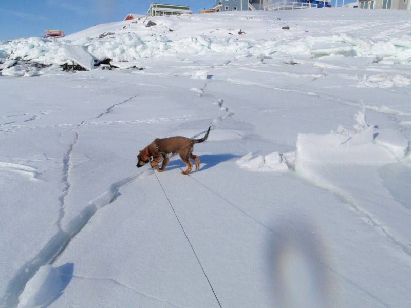 Djanco - ude og inde