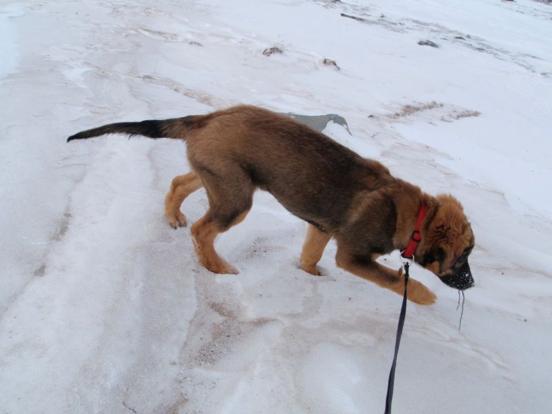 Djanco - ude og inde