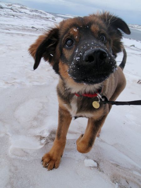 Djanco - ude og inde