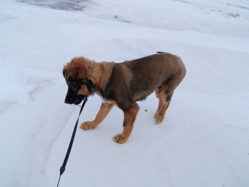 Djanco - ude og inde