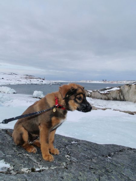 Djanco - ude og inde