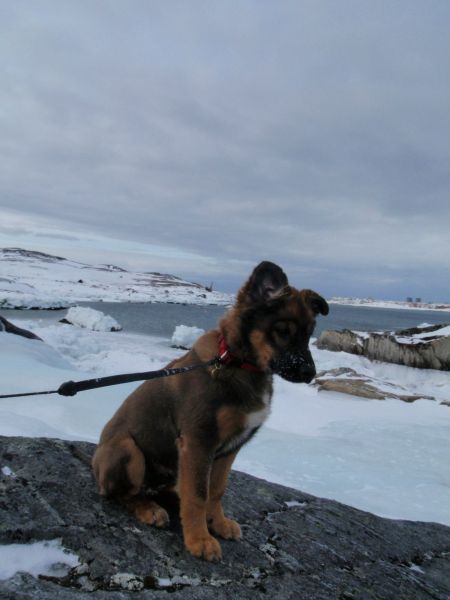 Djanco - ude og inde