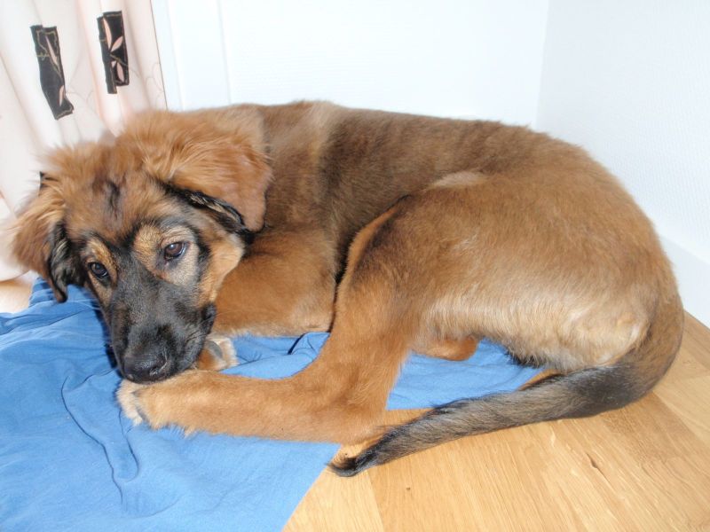 Djanco - ude og inde