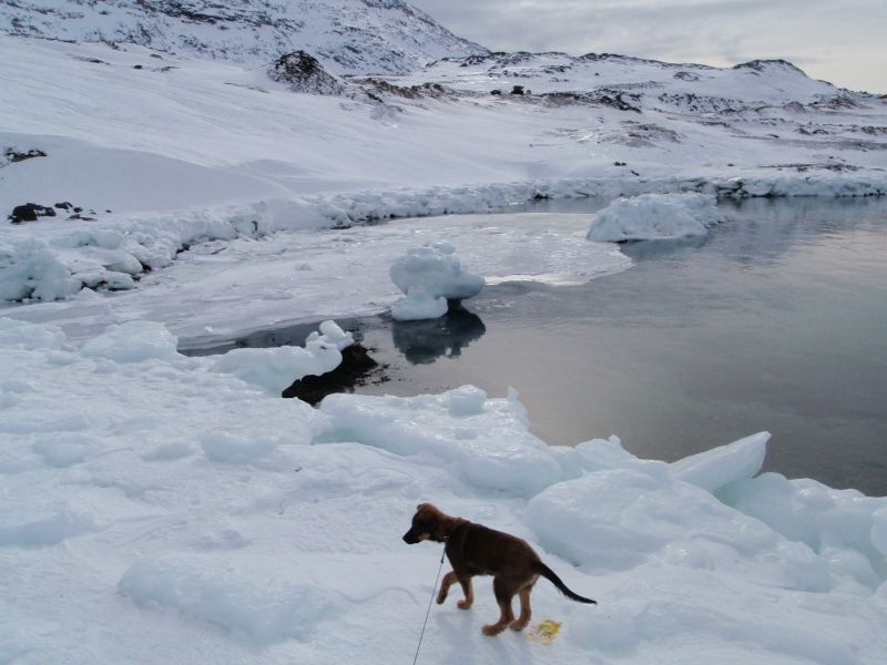Djanco - ude og inde