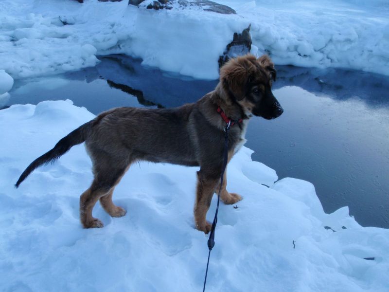 Djanco - ude og inde