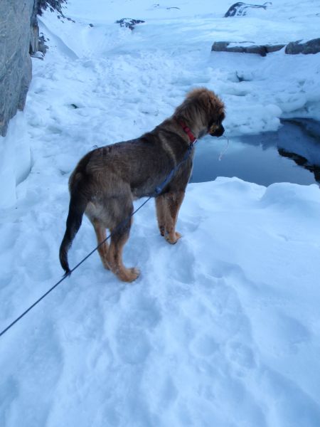 Djanco - ude og inde