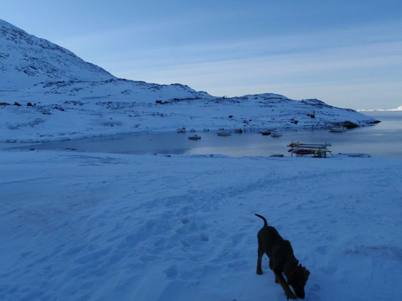 Djanco - ude og inde