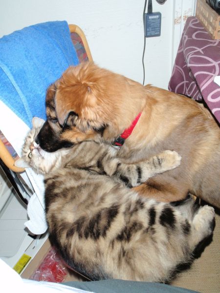 Djanco - ude og inde