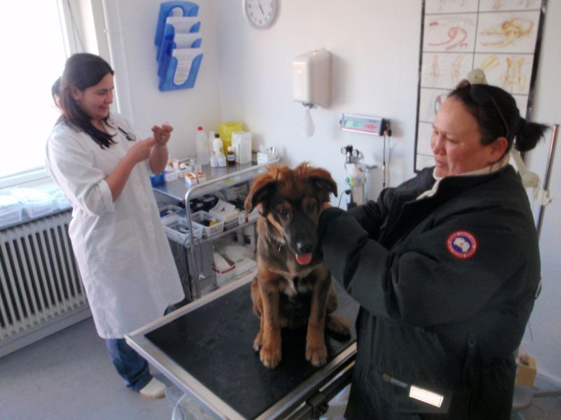 Djanco - ude og inde