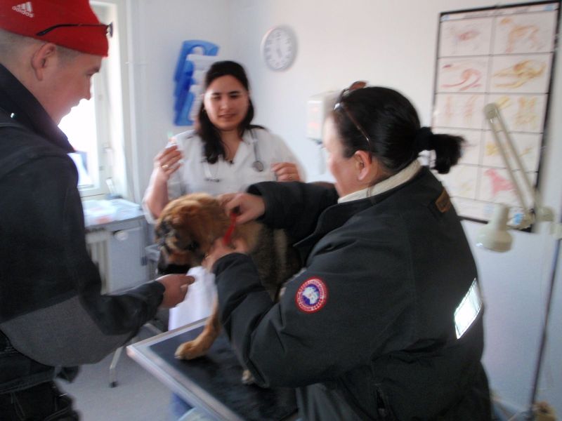 Djanco - ude og inde