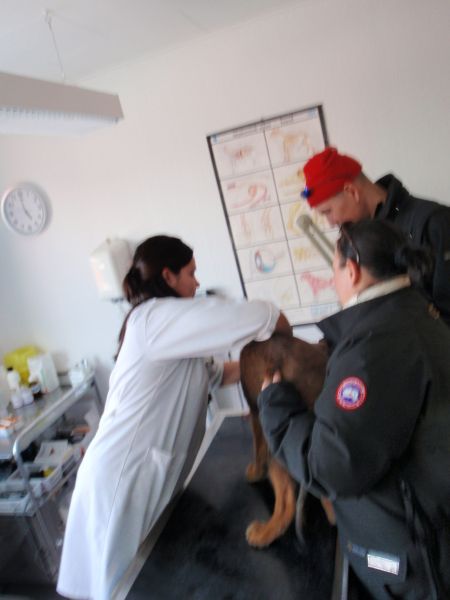 Djanco - ude og inde