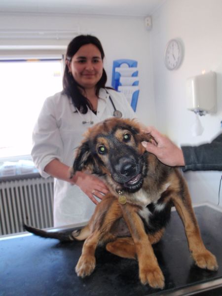 Djanco - ude og inde