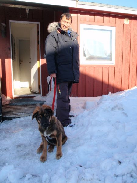 Djanco - ude og inde