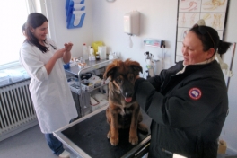 Djanco - ude og inde