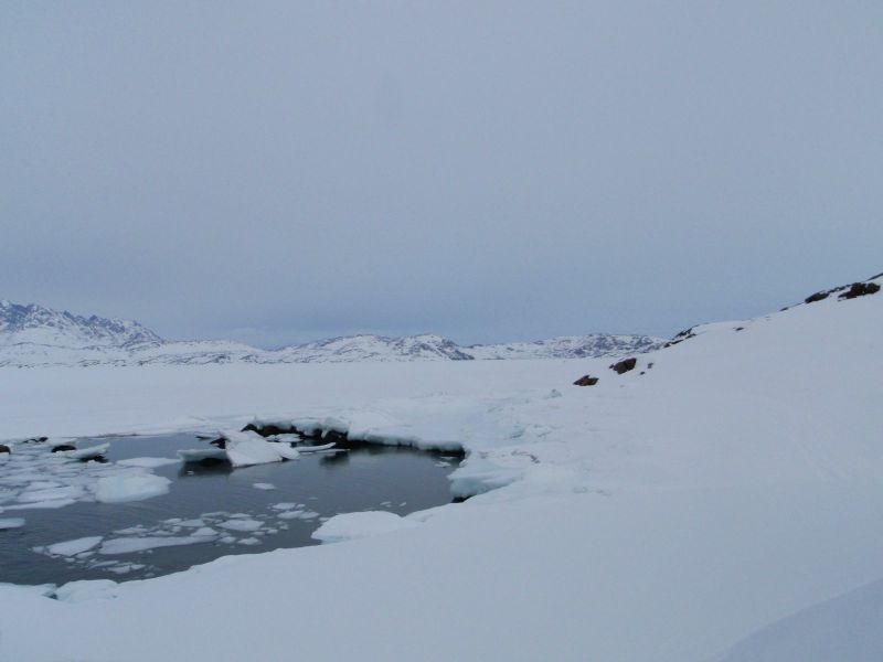 Hele familien i Tasiilaq