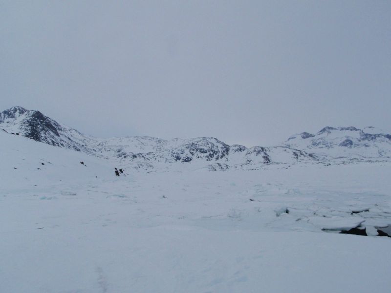 Hele familien i Tasiilaq