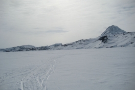 Hele familien i Tasiilaq