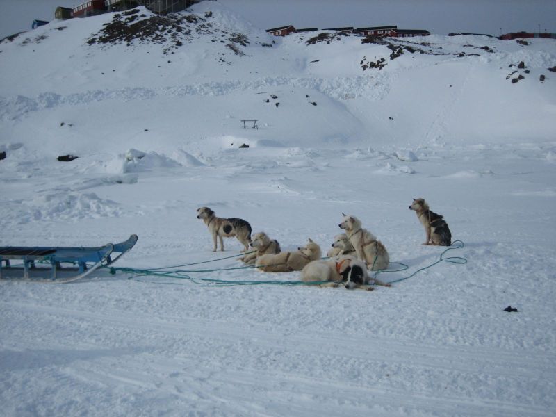 Hele familien i Tasiilaq
