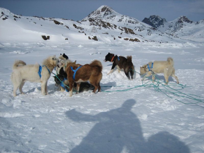 Hele familien i Tasiilaq