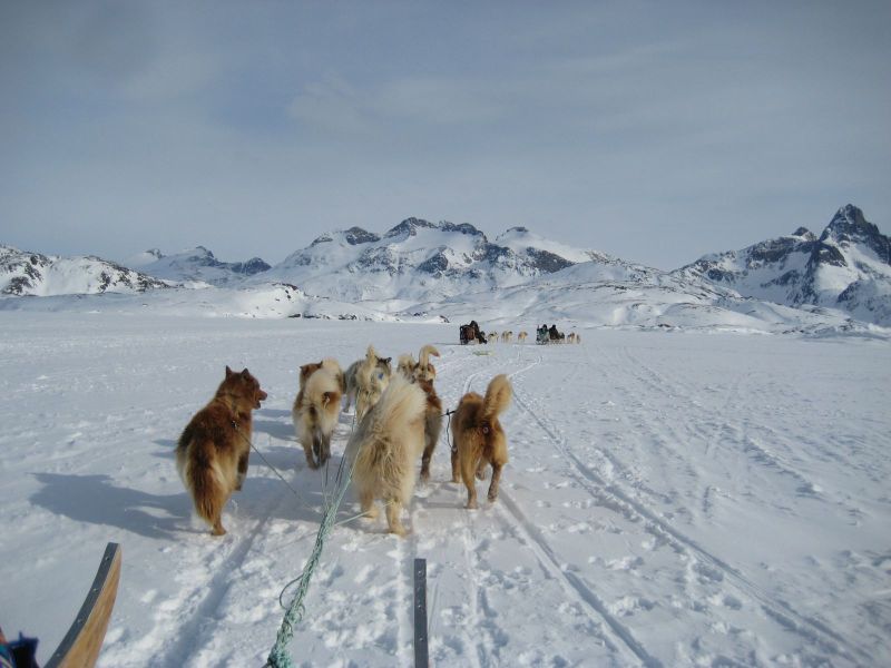 Hele familien i Tasiilaq