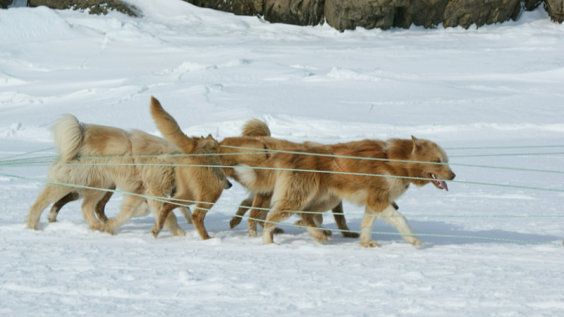 2009-04-08-1007_Tasiilaq