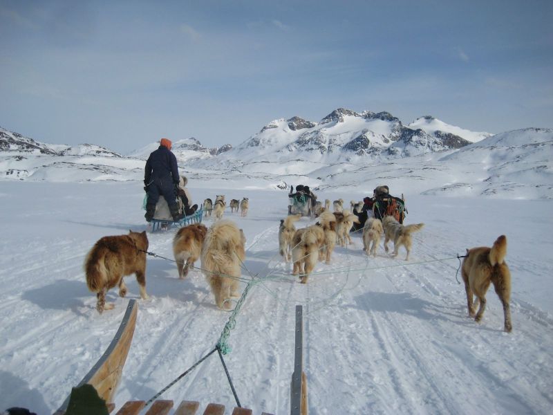 Hele familien i Tasiilaq