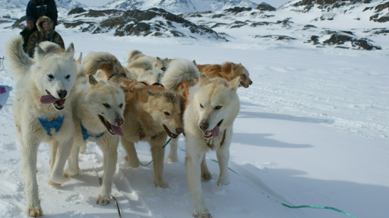 2009-04-08-1010_Tasiilaq_3