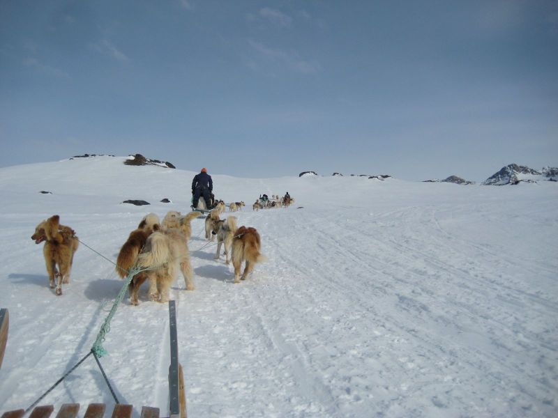 Hele familien i Tasiilaq
