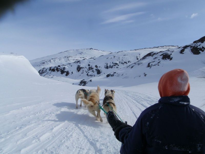Hele familien i Tasiilaq