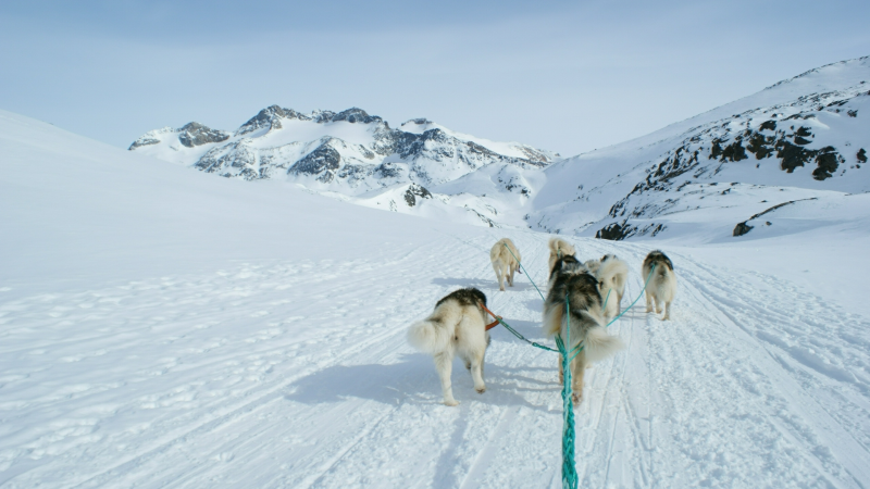 2009-04-08-1027_Tasiilaq