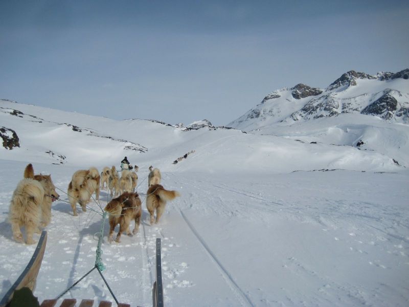 Hele familien i Tasiilaq