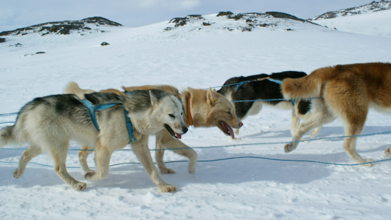 2009-04-08-1029_Tasiilaq