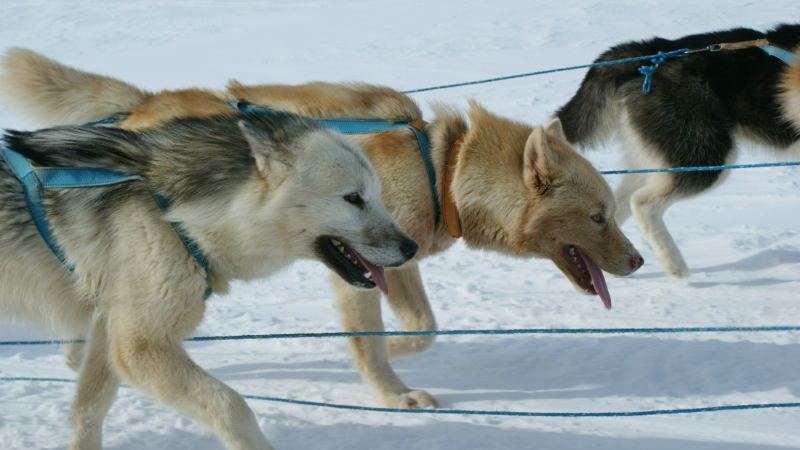 2009-04-08-1029_Tasiilaq_2
