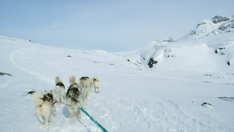 2009-04-08-1031_Tasiilaq