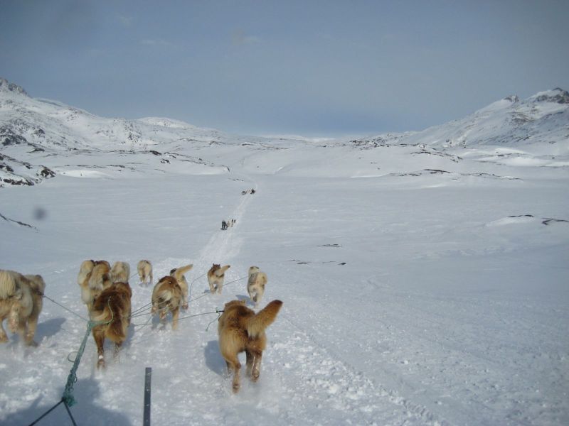 Hele familien i Tasiilaq