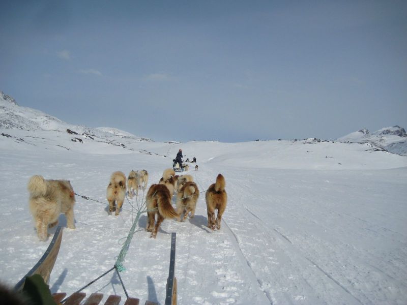 Hele familien i Tasiilaq