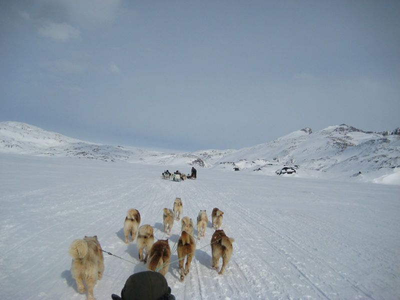 Hele familien i Tasiilaq