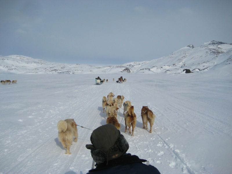 Hele familien i Tasiilaq