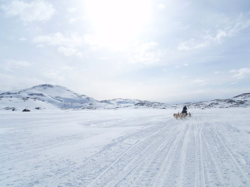 Hele familien i Tasiilaq