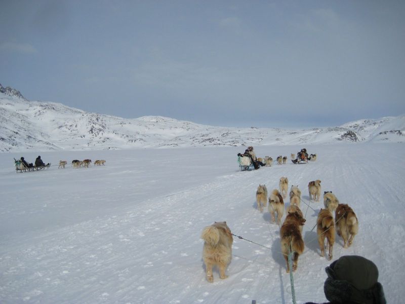 Hele familien i Tasiilaq
