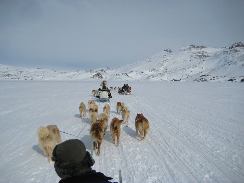 Hele familien i Tasiilaq