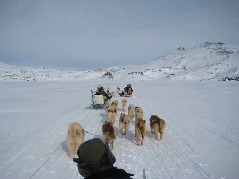 Hele familien i Tasiilaq