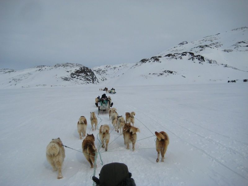 Hele familien i Tasiilaq