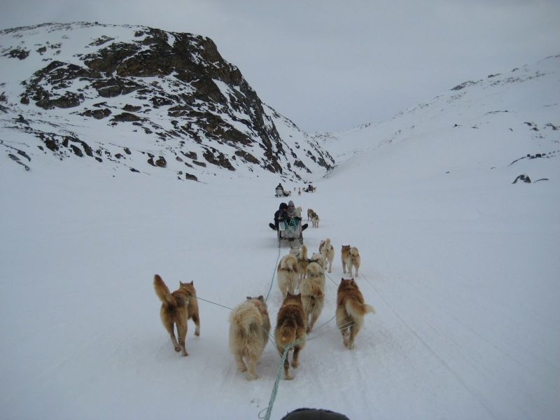 Hele familien i Tasiilaq