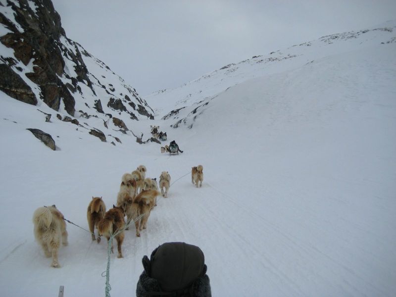 Hele familien i Tasiilaq