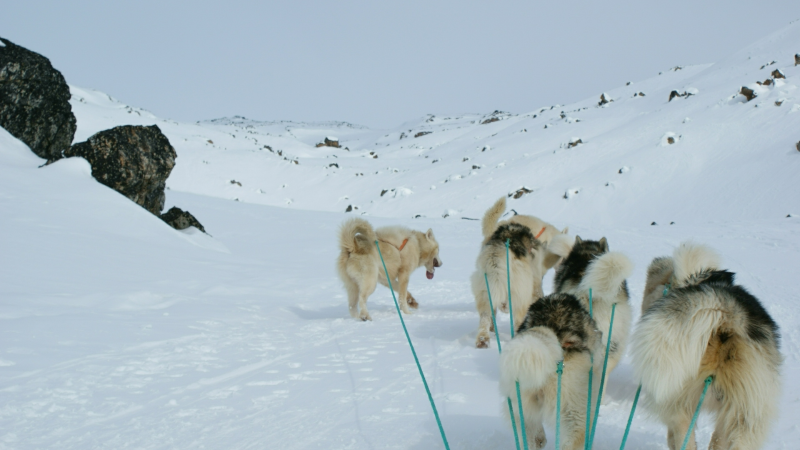 2009-04-08-1130_Tasiilaq