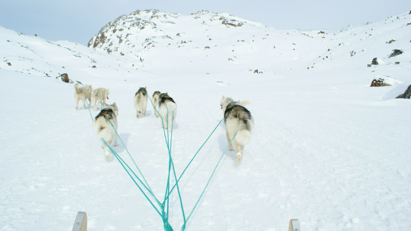 2009-04-08-1130_Tasiilaq_4