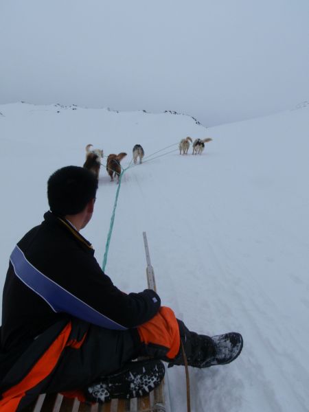 Hele familien i Tasiilaq