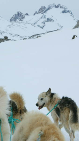 2009-04-08-1336_Tasiilaq