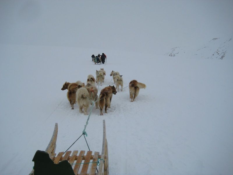 Hele familien i Tasiilaq